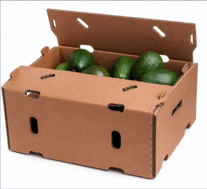 Caja doble corrugada para exportacion de paltas